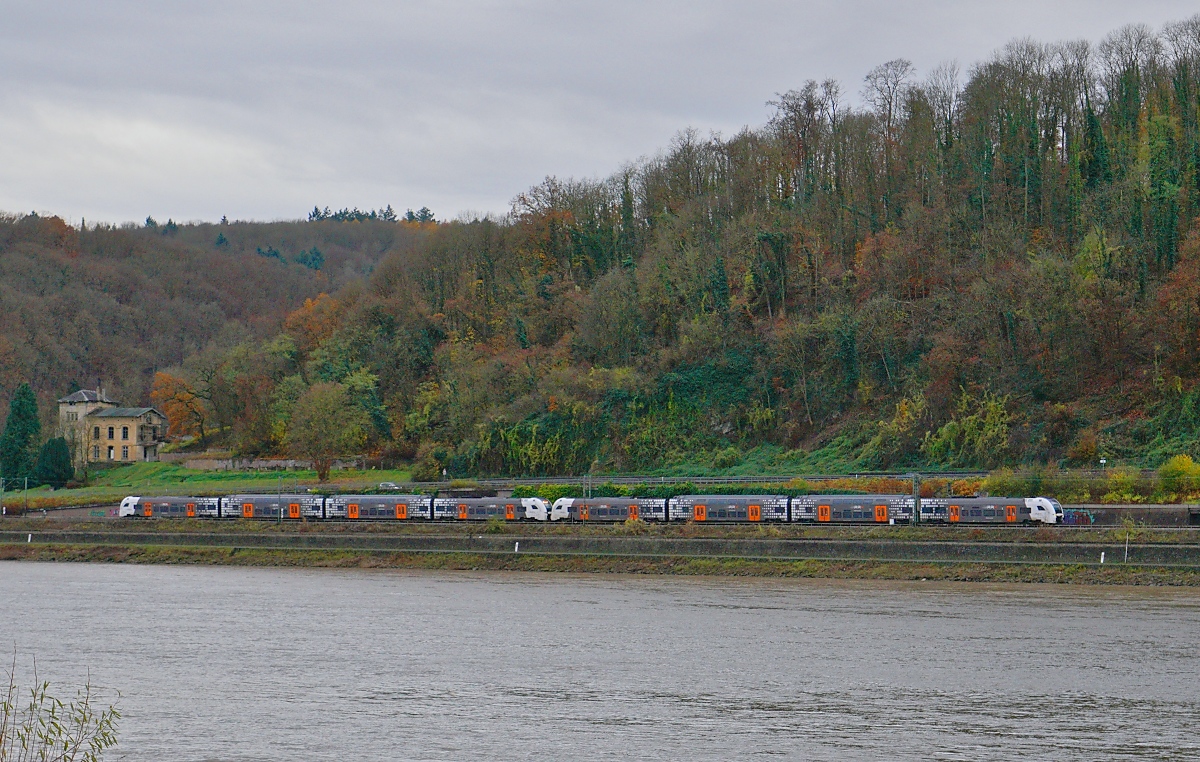 Ein RRX 462-Doppel fährt auf der linken Rheinstrecke am 23.11.2024 bei Remagen nach Norden