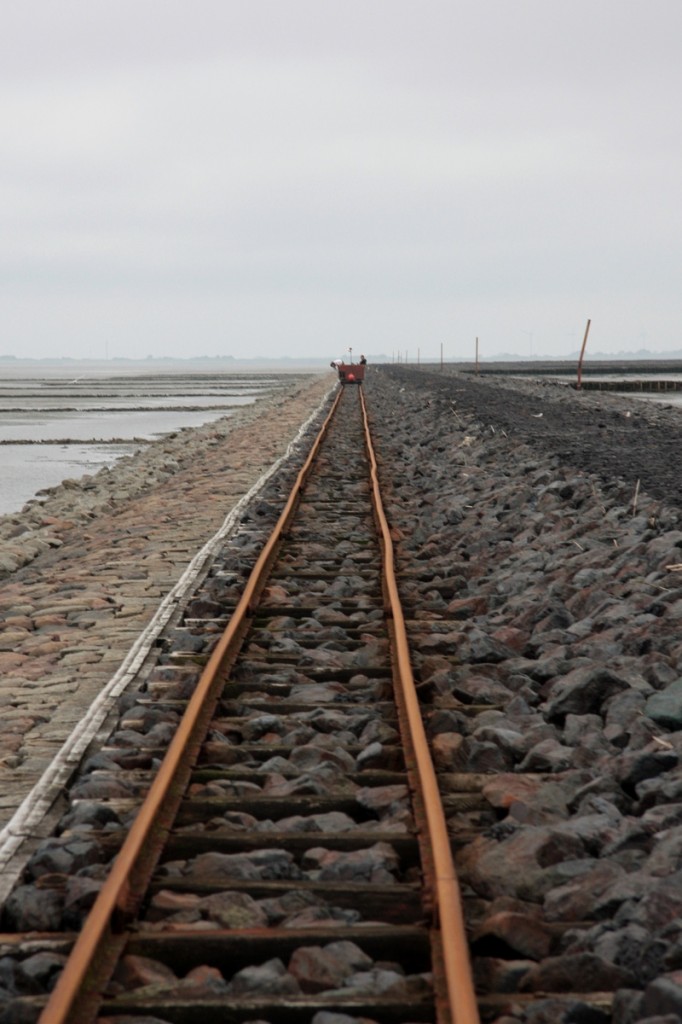 Fahrt auf dem alten Lorendamm von Langeness nach Oland, nebenan der neue höherliegende Damm. (10.06.2012)