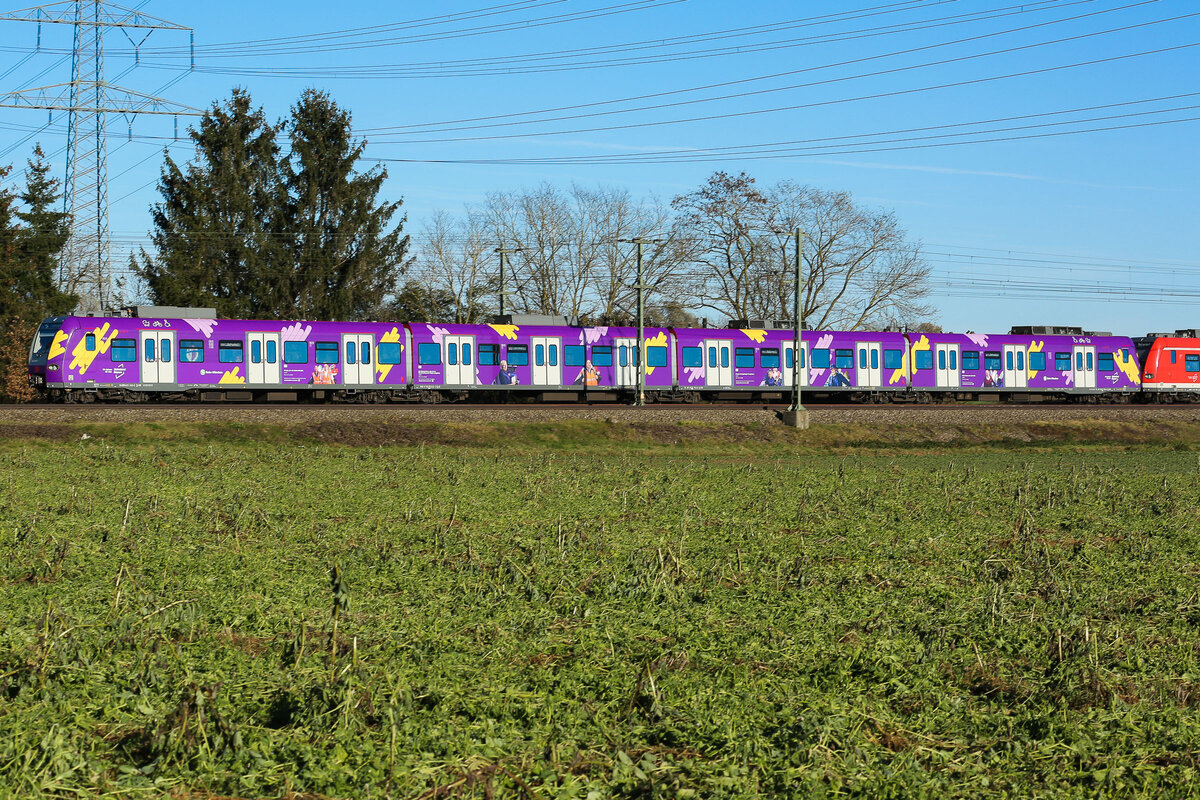 Ganz neue Bemalung auf einer S-Bahn für den Beruf Lokführer in Lila. am 25.11.24 bei Zorneding gelichtet.