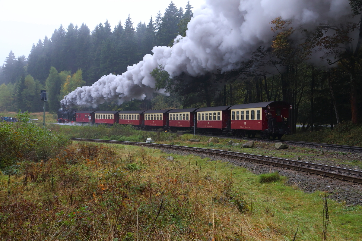 Gerade hat 99 7239 mit Planzug P 8931 am 18.10.2015 den Bahnhof Drei Annen Hohne verlassen und nimmt jetzt mit Volldampf Anlauf für die Steigungsstrecke nach Schierke hinauf.