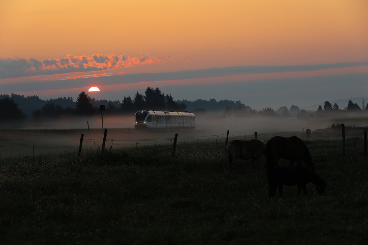 Guten Morgen im Laßnitztal….. 

29.08.2018