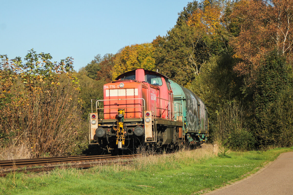 Herbst im Primstal: 294 776-0 mit dem Limbacher Coilzug auf dem Weg nach Dillingen. Abgelichtet am 23.10.2024 in Schmelz