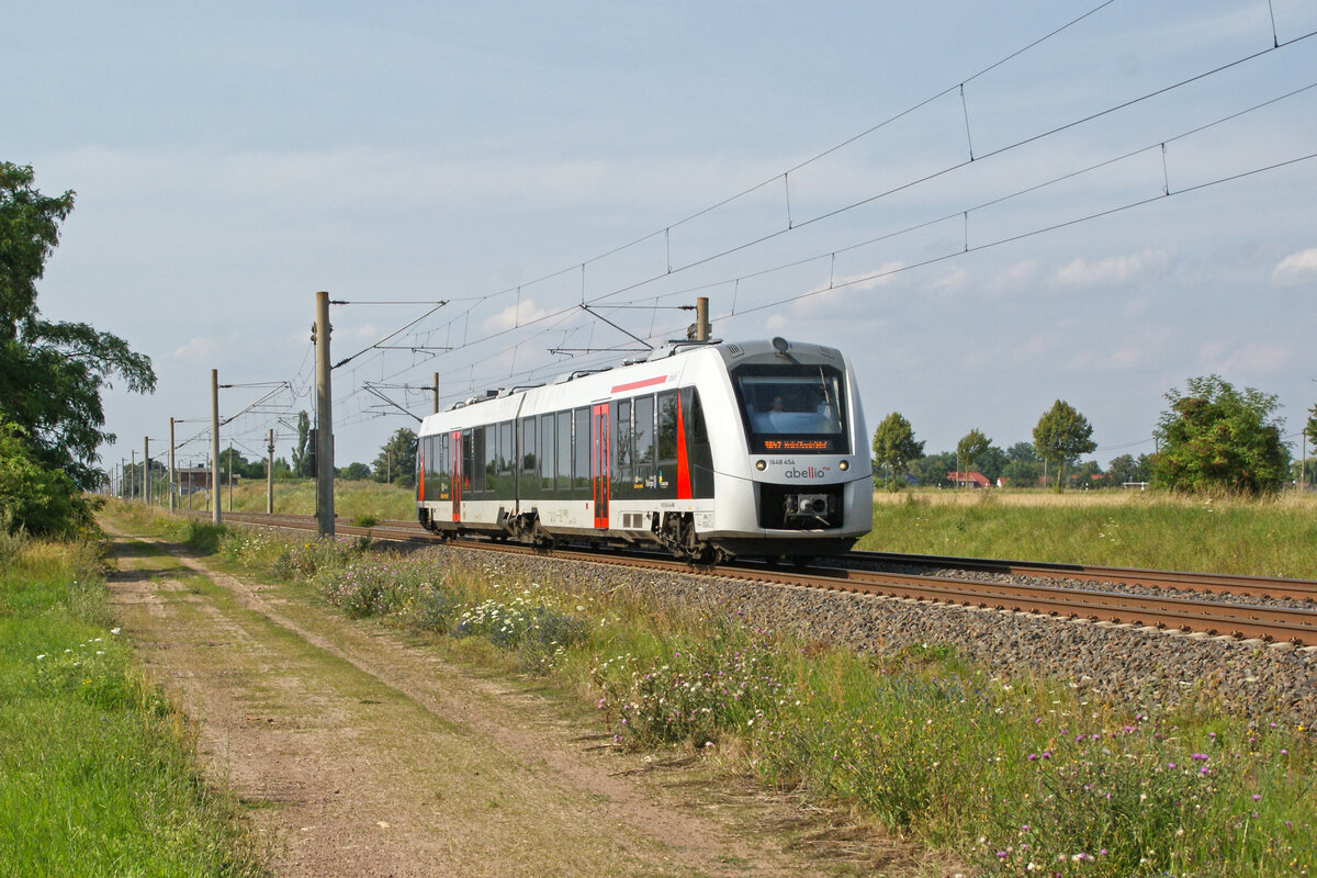 Hier zusehen ist 1648 454 am 1.8.24 als RB 47 nach Halle (Saale) Hbf bei Arnesdorf.