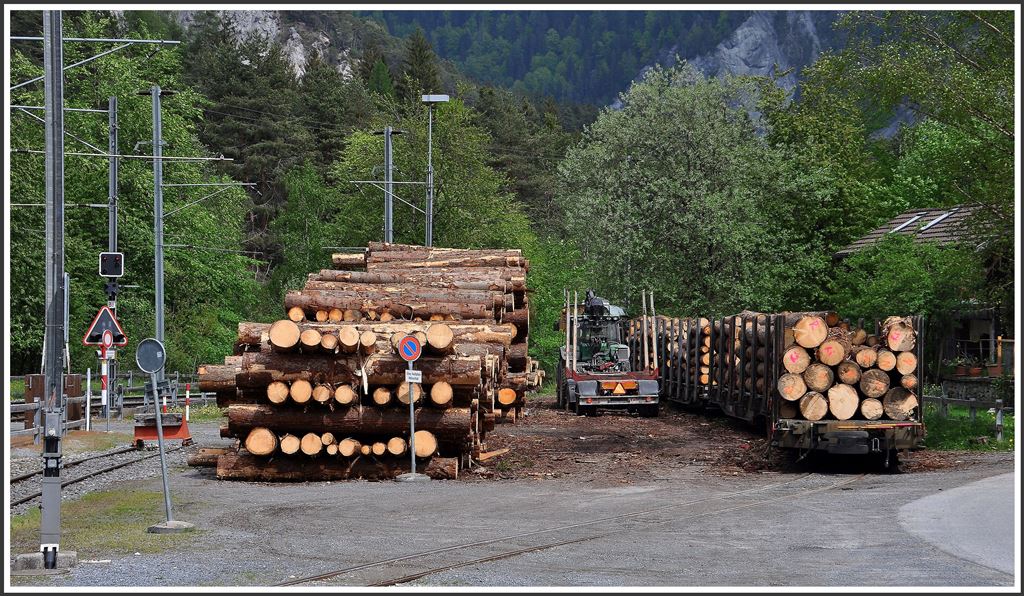 Holzverladeplatz in Versam-Safien. (05.05.2015)