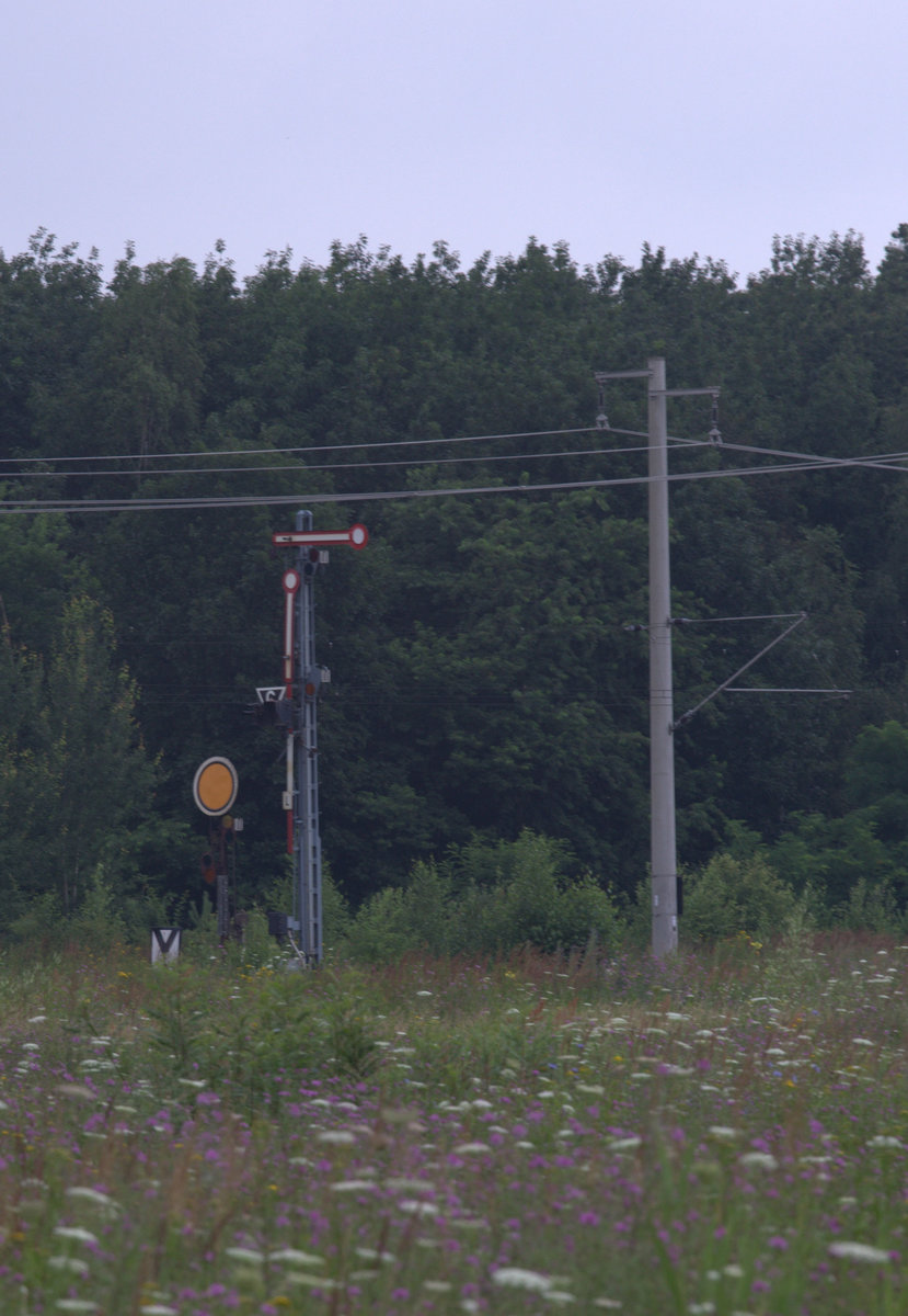 HP 0 zeigt das rechts stehende  Signal vor dem Bhf. Brieske. 17.07.2016 10:05 Uhr.