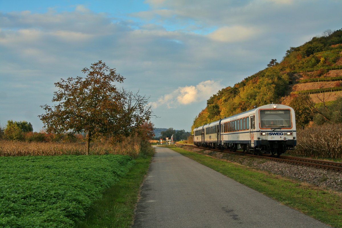 Im Abendlicht glänzent konnte der letzte altlackierte NE81-VS der SWEG mit der Nummer 204, zusammen mit den beiden VT's 128 und 129 auf dem Weg von Riegel DB nach Breisach aufgenommen werden. Das Bild entstand am 21.10.16 kurz vor Achkarren.