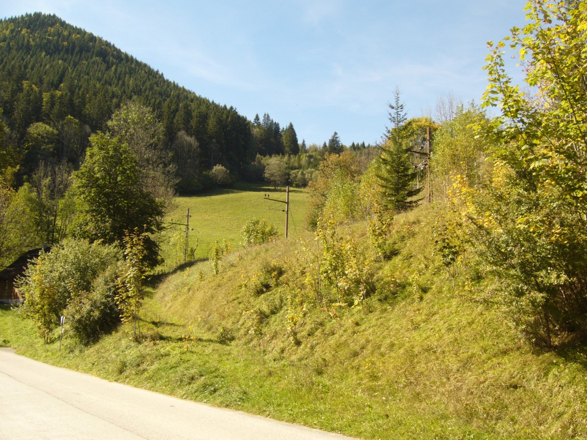 Im aufgelassenen Teil der Mariazellerbahn auf steirischer Seite zwischen Mariazell und Guwerk hier bei St.Sebastitan - Rasing, (im Hintergrund sieht man den 1297m hohen Tribein)sieht es so aus als ob die Anlagen noch alle noch da wren, jedoch wie beim Bild zuvor zu sehen sind die Geleise bereits abgebaut, Sept.2010 