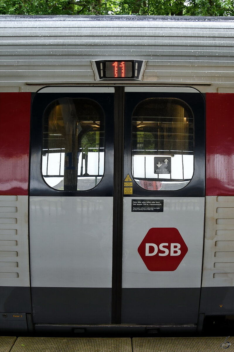 Im Bild die Zugangstüren eines Triebwagens der DSB-Baureihe MF. (Flensburg, Juni 2024)