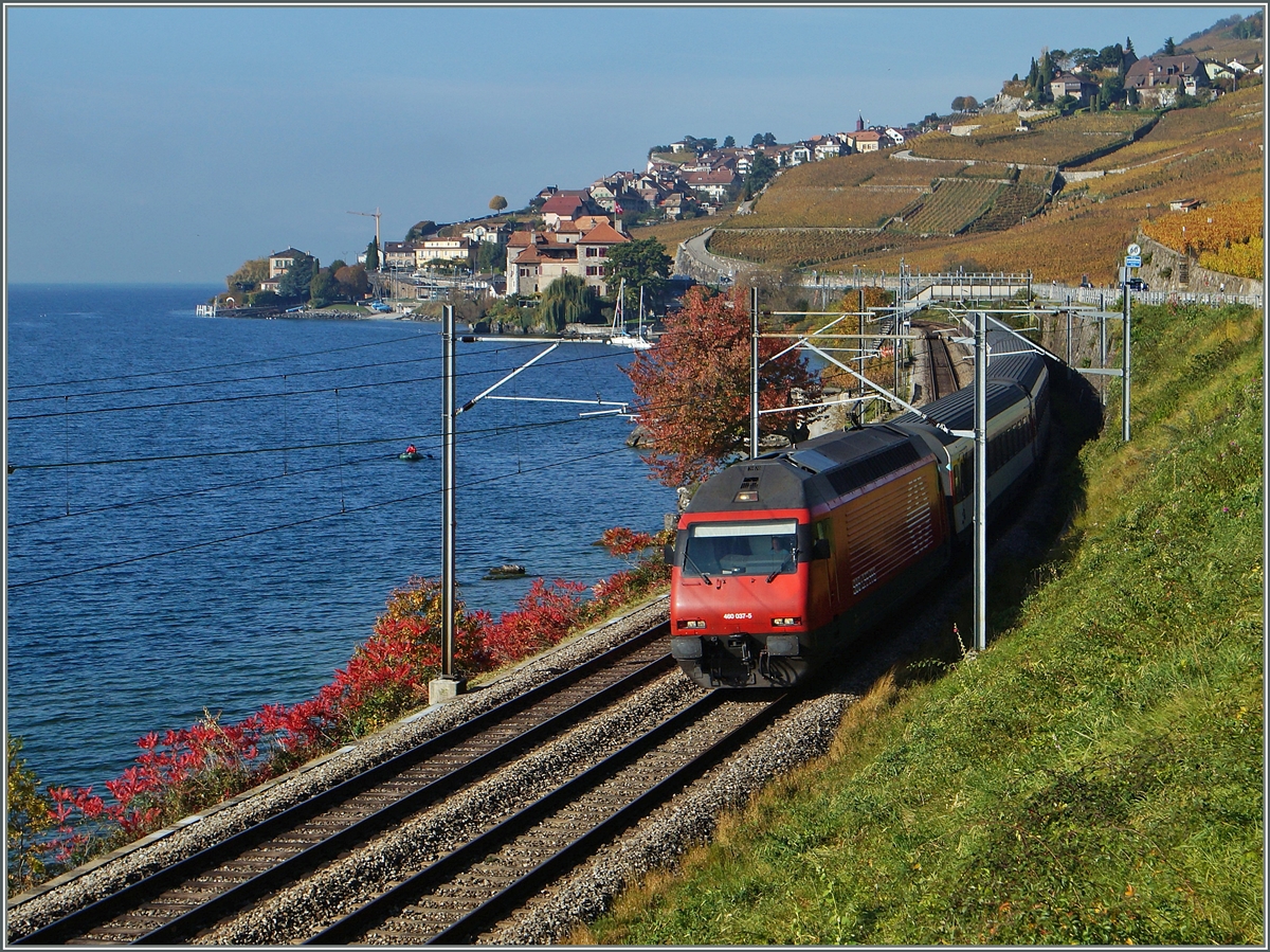 In einer bunten Herbstlandschaft fährt die SBB Re 460 037-5 mit ihrem IR 1413 von Genève Aéroport nach Brig zwischen Rivaz und St-Saphorin dem Lac Léman entlang.
2. Nov. 2014