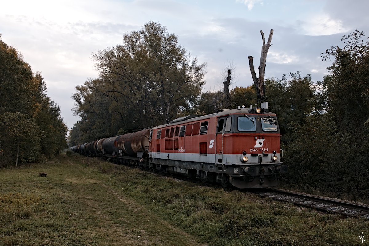 In den Winer Auen befindet sich ein Tanklager, das regelmäßig von den ÖBB bedient wird. Normaler Weise sind auf dieser Strecke nur Neubaumaschinen unterwegs, doch diesen Herbst war es anders.
Die 2143.033 ist mit einem langen Zug auf der Fahrt vom Lobauer Ölhafen zum Stadlauer Frachtenbahnhof. Die Akustik der alten Maschine beim Anfahren dieses Zuges war fantastisch, kann aber leider im Foto nicht wiedergegeben werden. (17.10.2018)