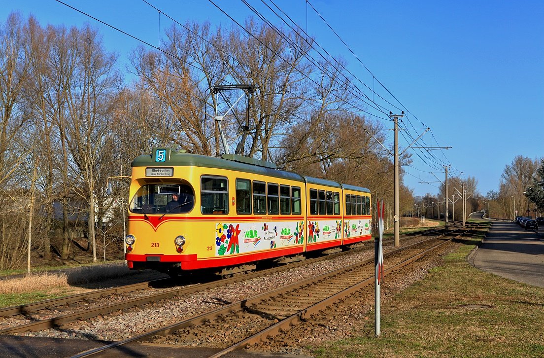 Karlsruhe 213, Rheinhafen, 03.03.2015.