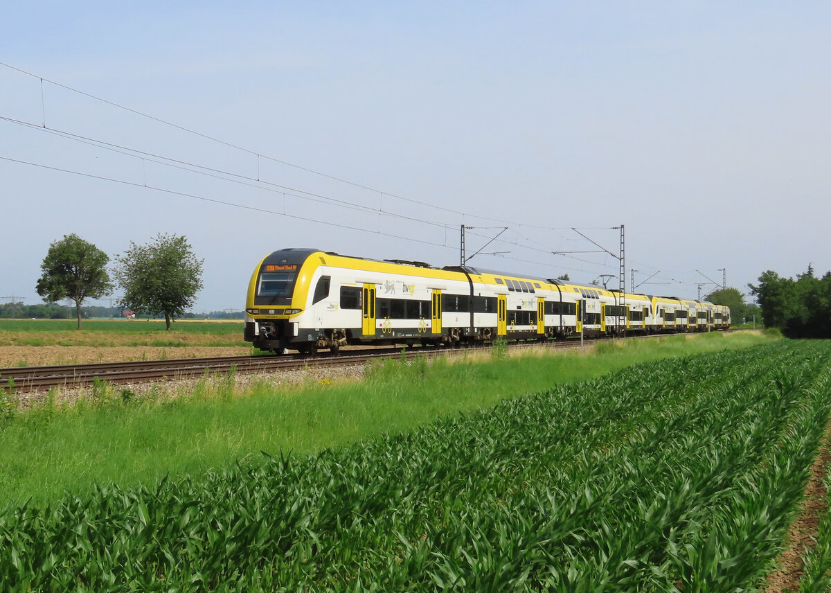 Kenzingen - 29. Juni 2024 : 1462 506 + 512 am RE 5335 von Offenburg nach Basel SBB.

Link zum Video : https://www.youtube.com/watch?v=QGlFDFMb9hk&t=477s