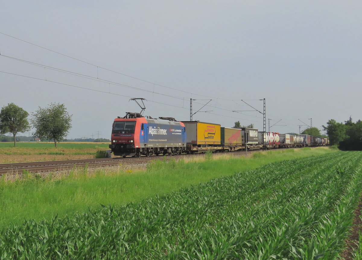 Kenzingen - 29. Juni 2024 : SBB 482 022 mit einem Kombi in Richtung Süden unterwegs. 

Link zum Video : https://www.youtube.com/watch?v=QGlFDFMb9hk&t=477s