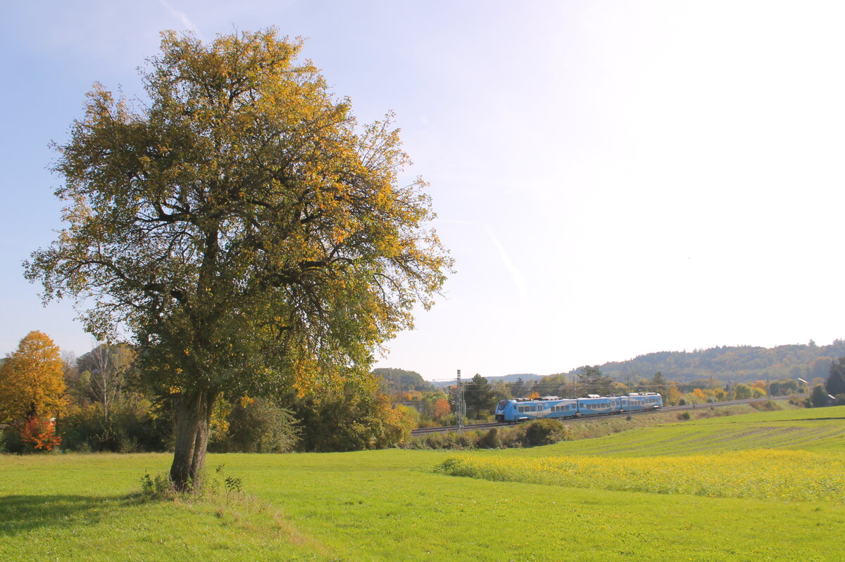 Kurz nach der Ausfahrt Ansbach in Richtung Treuchtlingen fährt dieser 3-teilige Mireo an einem einsamen Baum vorbei. Leicht trüb war es dann doch noch an diesem 16.10.2024. Dies entschädigte dann die leicht Herbstfärbung der Blätter.