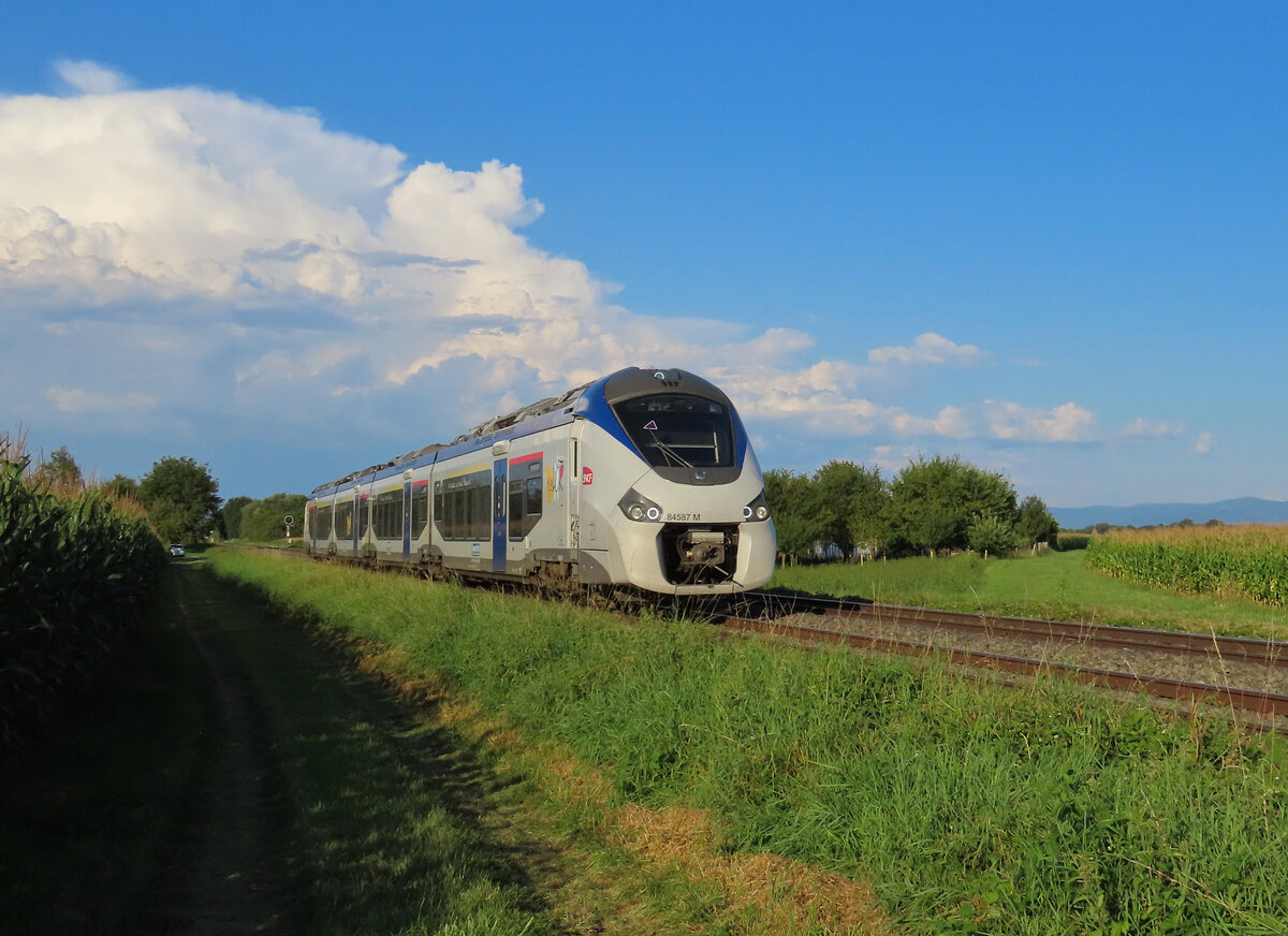 La Wantzenau - 13. August 2024 : B 84587M am TER 830737 von Roeschwoog nach Strassburg.