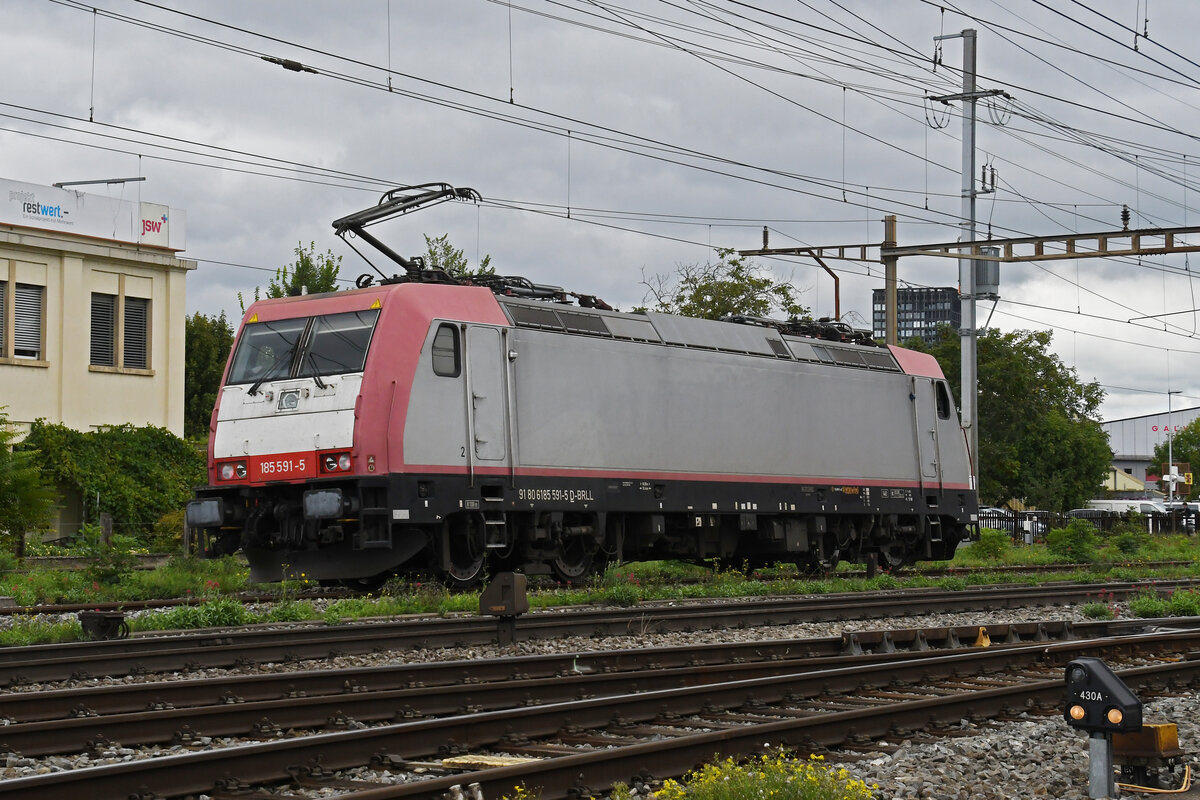 Lok 185 591-5 durchfährt am 10.09.2024 solo den Bahnhof Pratteln.