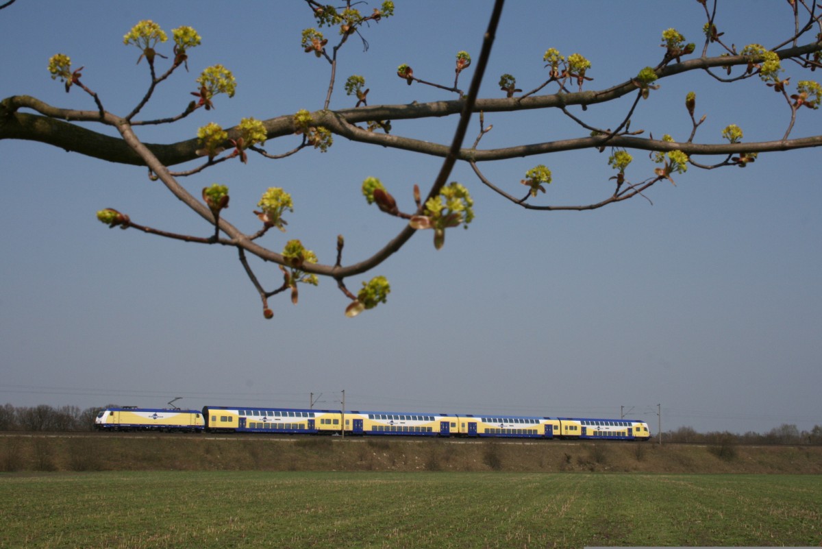 ME 146 xxx mit Umleiter-MEr 36614 (Harburg–Tostedt) am 11.04.2009 zwischen Maschen und Jesteburg