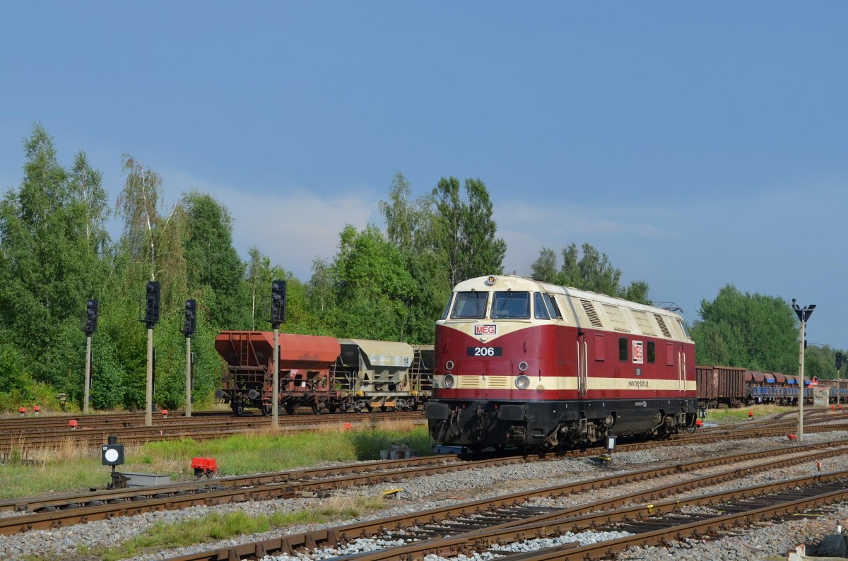 MEG 206 (DR 118 748) in Espenhain 06.08.2013