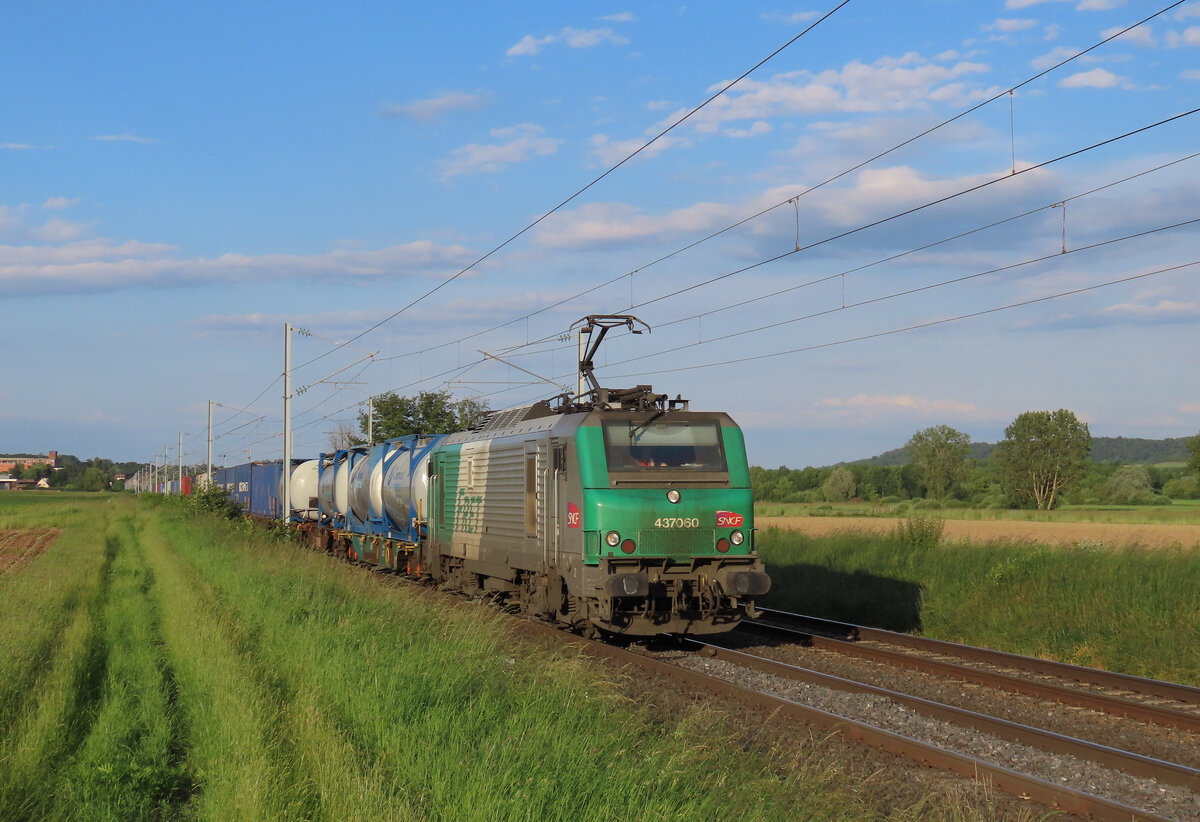 Melsheim - 6. Juni 2024 : BB 37060 mit einem KLV in Richtung Belgien.