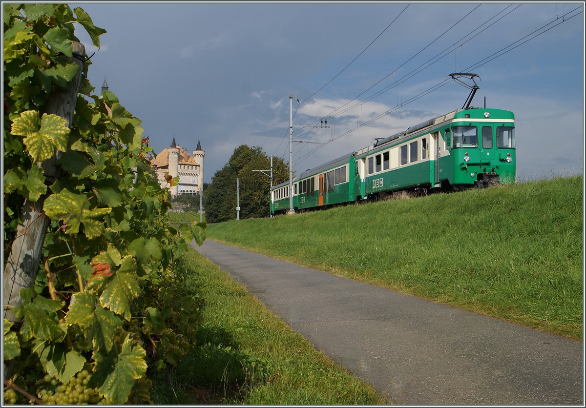 Mir scheint, die Trauben der  La Côte  gedeihen dieses Jahre besser, als jene im Lavaux. Rechts im Bild fährt der BAM Regionalzug 128 Richtung Bière und erreicht in Kürze Vufflens le Château. 
8. Sept. 2014