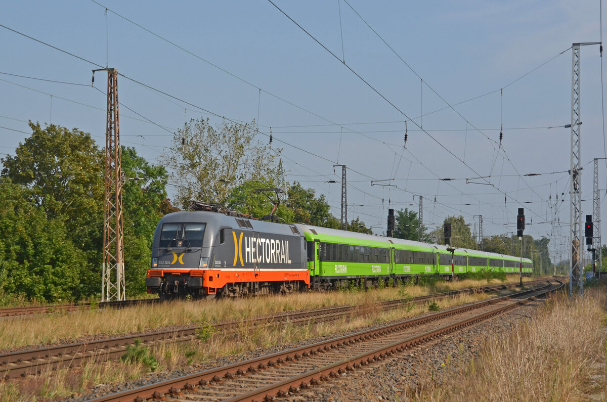 Mit dem Leerpark des FLX 1363 aus Hamburg rollt 242 504 der Hectorrail am 18.09.24 zur Abstellung Richtung Seddin durch Saarmund.