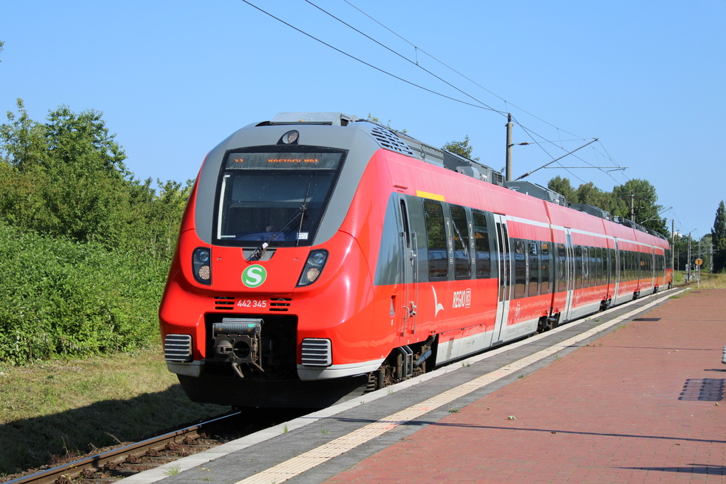 Mit neuem S-Bahn Logo zeigte sich 442 345 als S1(Warnemünde-Rostock)in Rostock-Lichtenhagen.20.07.2024