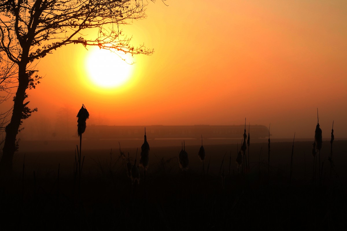 Morgens bei Hollenegg. 17.03.2016