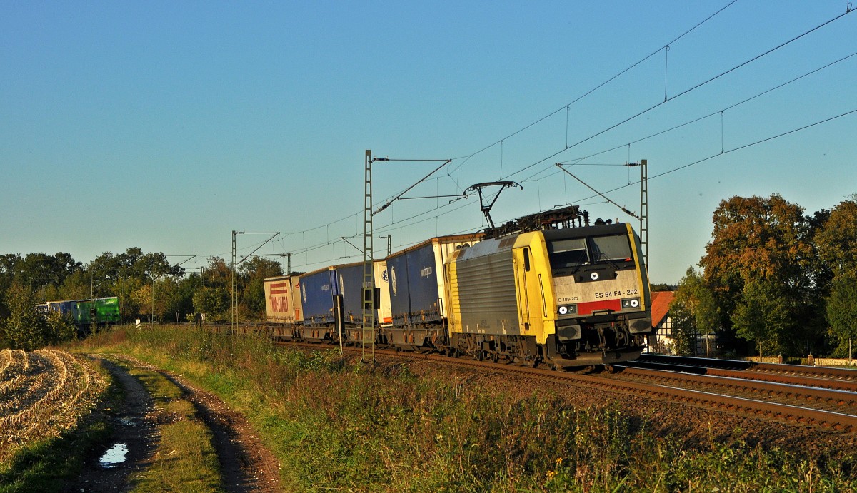 MRCE Dispolok ES 64 F4-202 (E 189 202), vermietet an TX Logistik, ist in der Abendsonne des 16.10.11 zwischen Vehrte und Belm mit einem KLV-Zug in Richtung Osnabrück unterwegs.