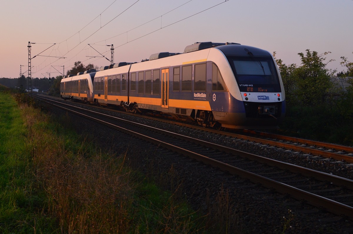 Nachschuß auf einen von der untergehenden Sonne angestrahlten RE10 nach Kleve bei Tilmeshof am heutigen Abend aufgenommen. 10.10.2015