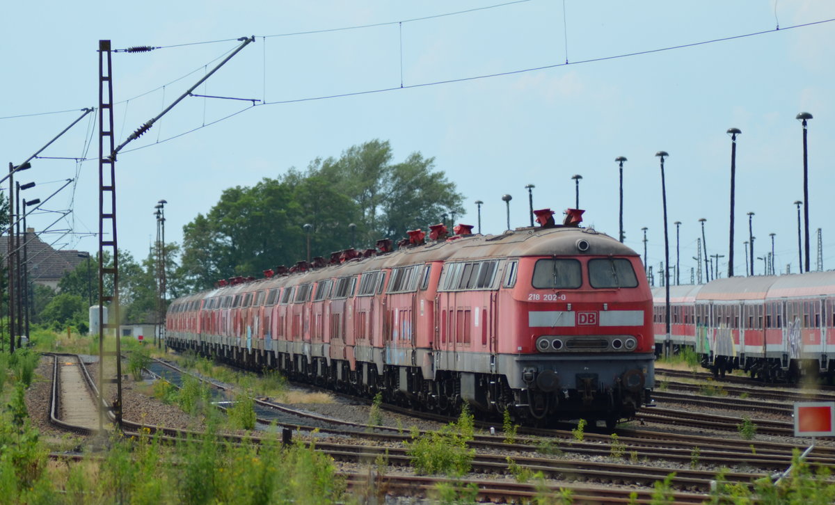 Ne Ganz Lange Schlange BR 218, Wie viel wo ? als 1. in der Reihe DB 218 202-0 im DB Stillstandsmanagement Leipzig Engelsdorf 19.06.2019 