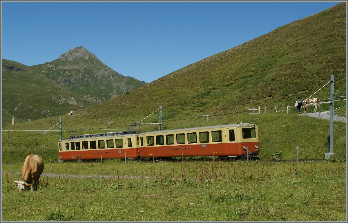 Noch in der Ursprugsfarbe zeigt sich dieser JB-Pendelzug auf der Fahrt zum Jungfraujoch oberhalb der kleinen Scheidegg.
21. August 2013