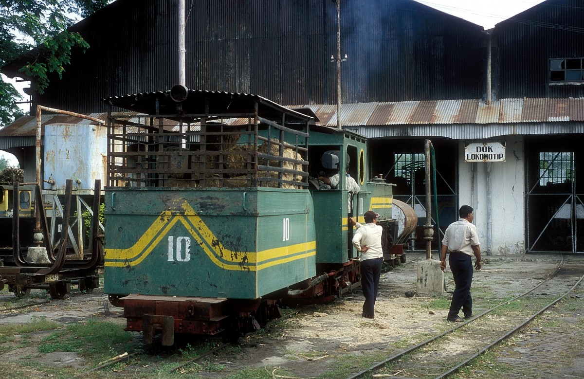  Nr. 10  Rejosari  11.08.04