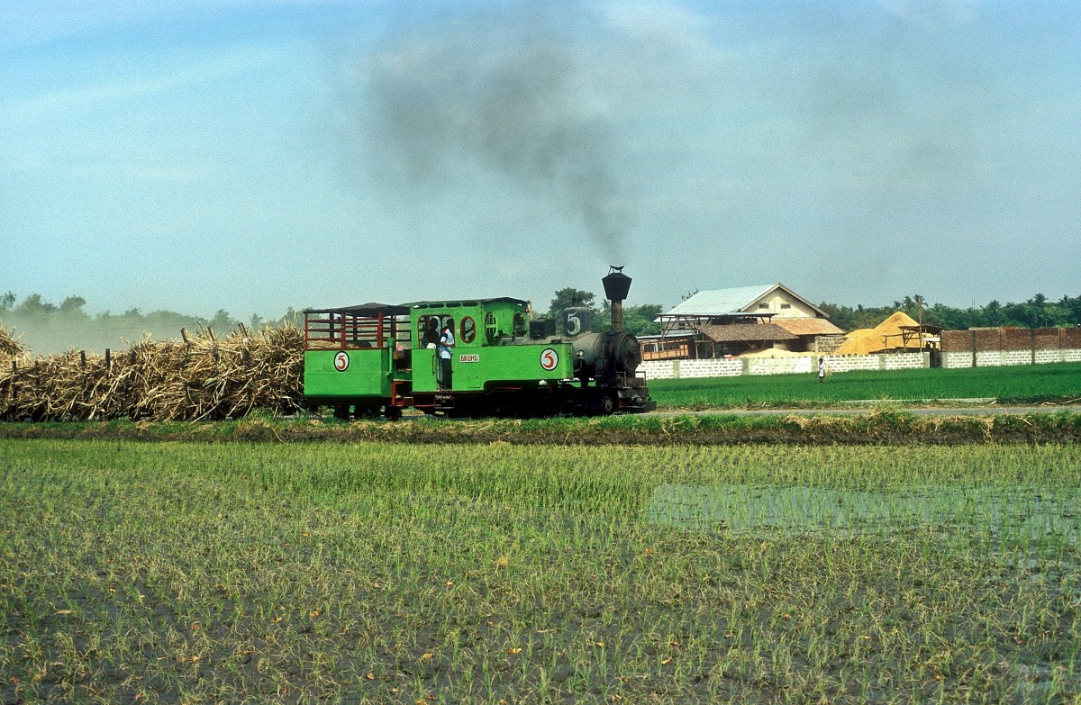 Nr. 5  Olean  14.08.04