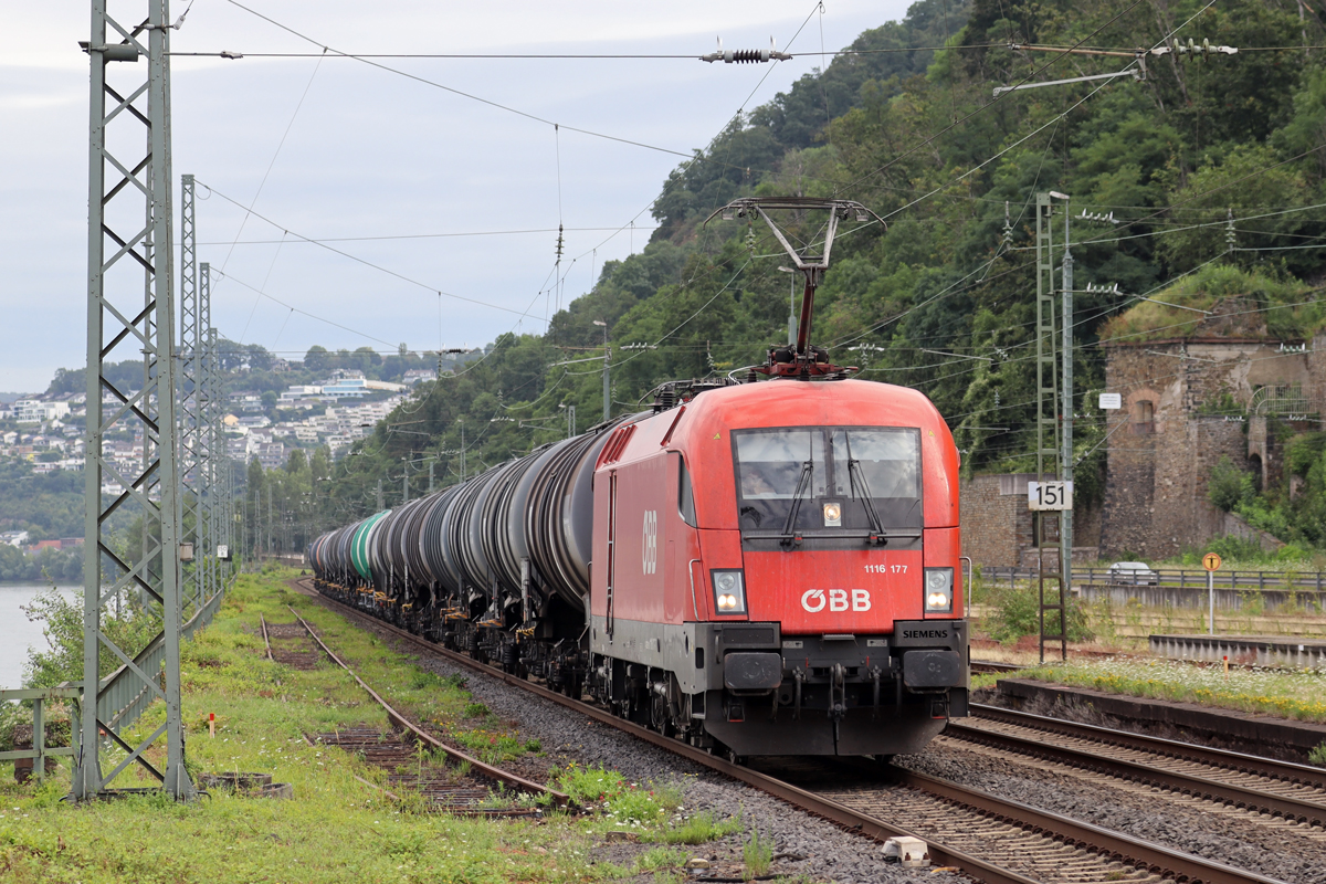 ÖBB 1116 177 in Koblenz-Ehrenbreitstein 9.8.2024