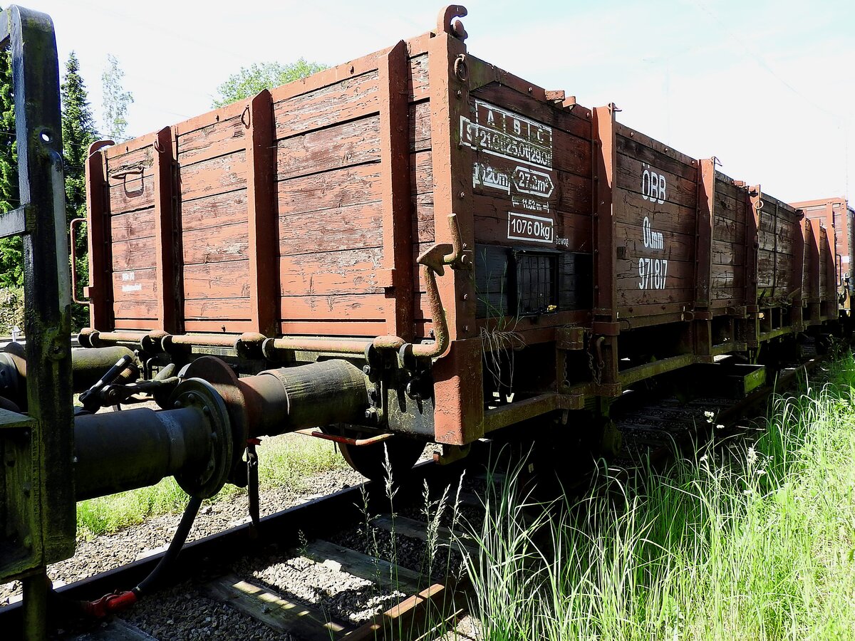 Olmm 971817, wartet in grüner Botanik auf eine eventuelle Aufarbeitung; 190609