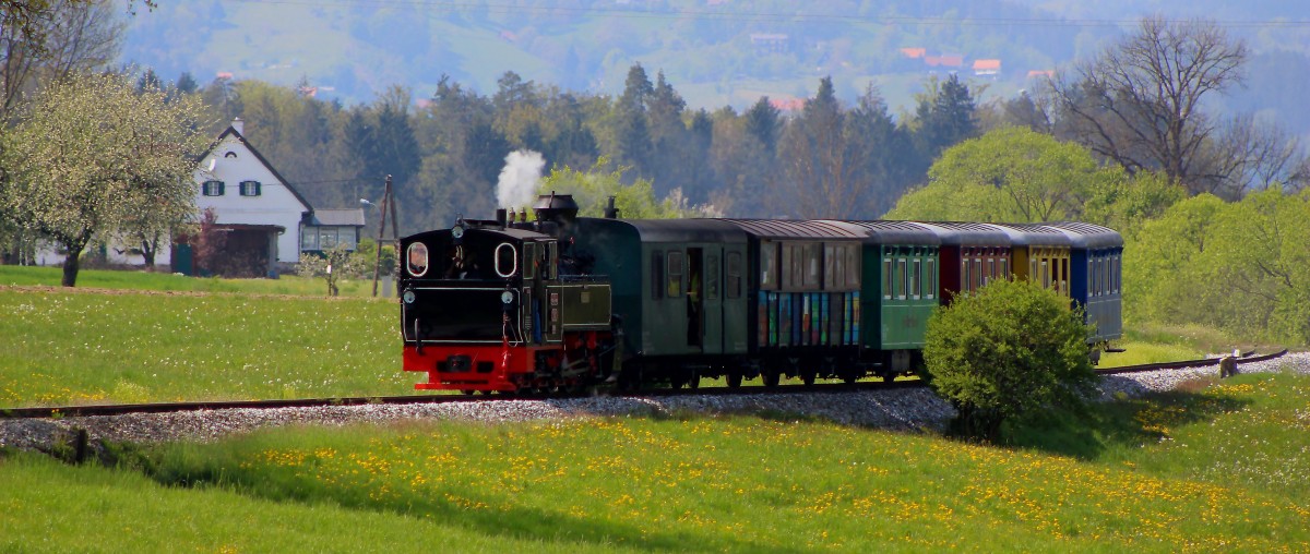 Osternesterlsuchen rundet das Programm des Flascherlzuges am Karsamstag 2014 ab. 
Für die zahlreichen Kinder gab es viel zu suchen ! 764.411 R zischt und pfaucht kurz nach der Ölmühle Herbersdorf nach Kraubath.