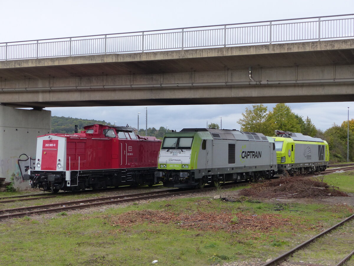 Press 202 885-0 ( 9280 1202 885-0 D-PRESS ), ITL/Captrain 285 119-4 TRAXX DE und RBB 248 038 beim pausieren in Gera am 8.10.2024