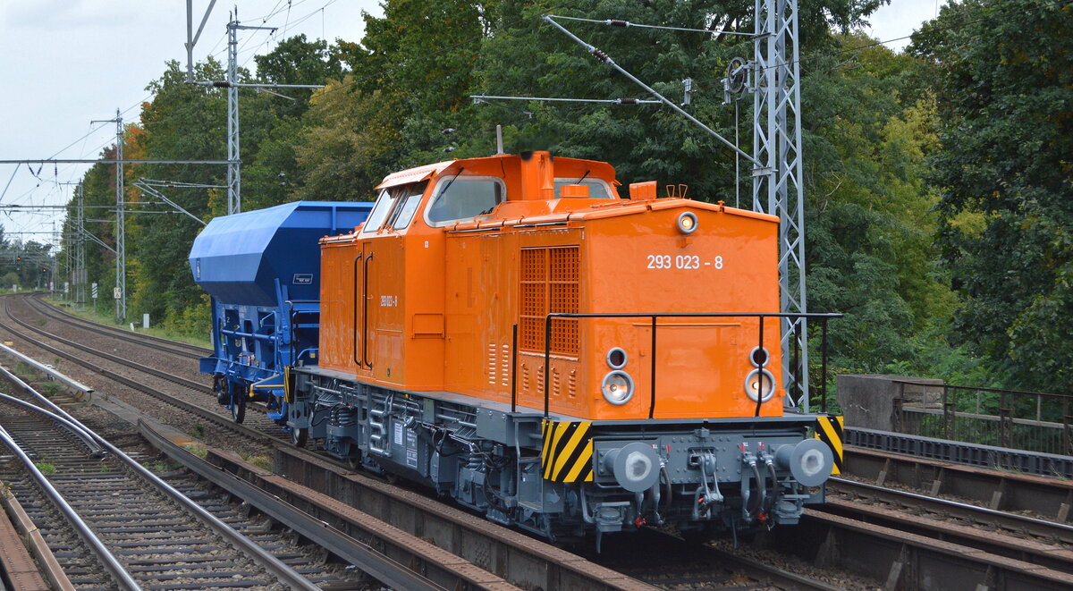 PRESS - Eisenbahn-Bau- und Betriebsgesellschaft Pressnitztalbahn mbH, Jöhstadt mit  293 023-8  [NVR-Nummer: 98 80 3293 023-8 D-PRESS], anscheinend frisch lackiert?, und einem Schüttgutwagen am 30.09.21 Berlin Buch.