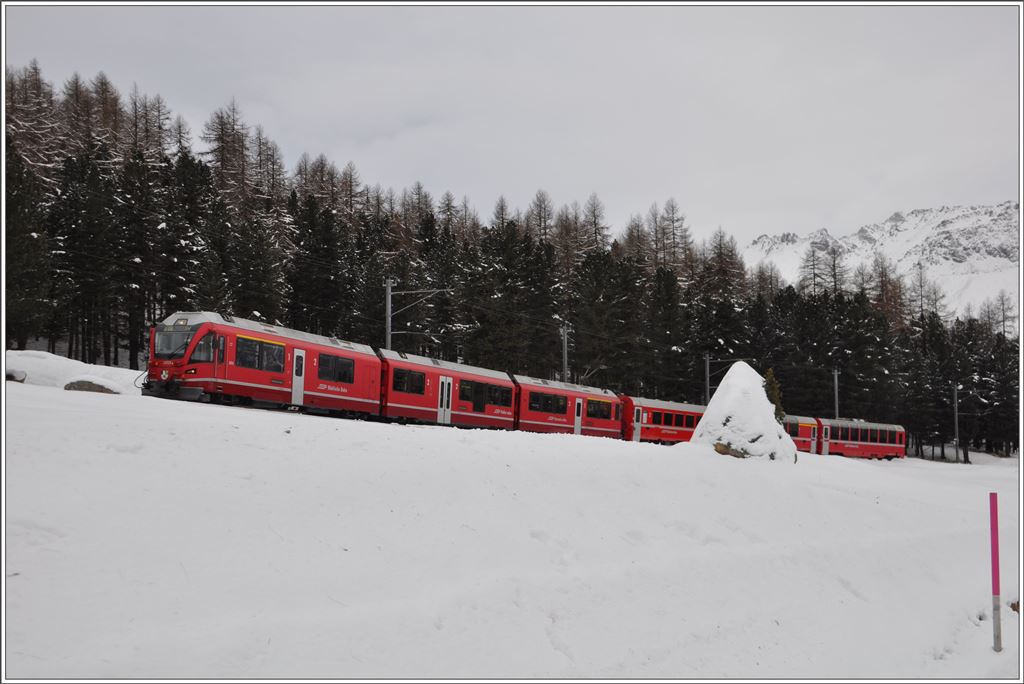 R1637 mit ABe 8/12 3513 bei Pontresina. (14.01.216)