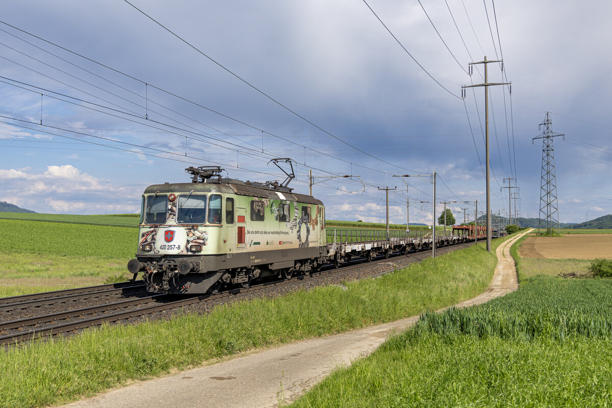 Re 420 257 ist mit dem leeren Autozug aus Lupfig AG unterwegs in Richtung Basel, aufgenommen kurz vor Möhlin AG am 13.05.2024.