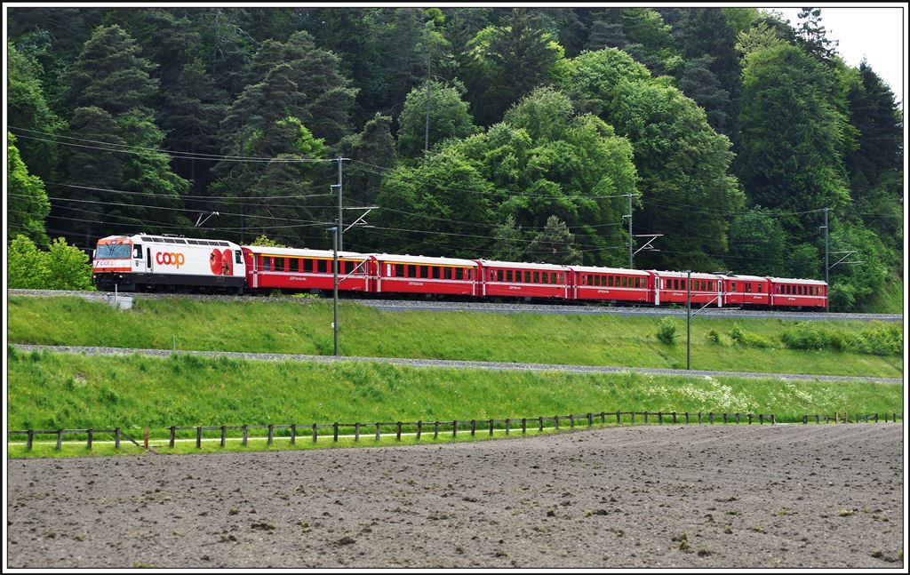 RE1156 mit Ge 4/4 II 641  Maienfeld  bei Reichenau-Tamins. (17.05.2014)