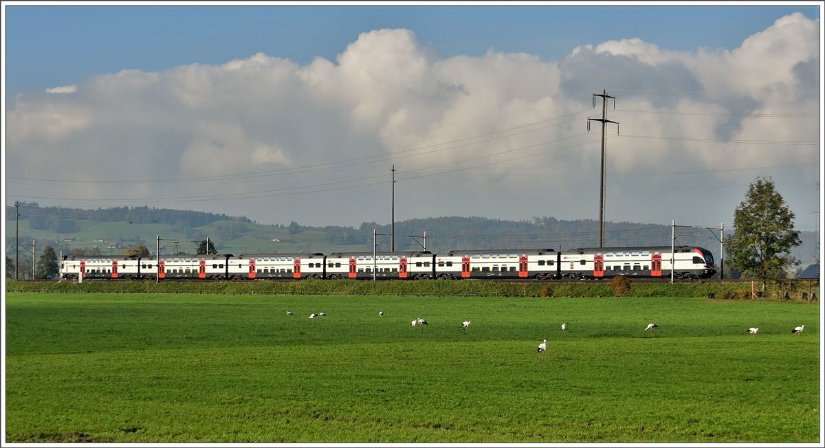 RE5075 bei Reichenburg. (27.10.2016)