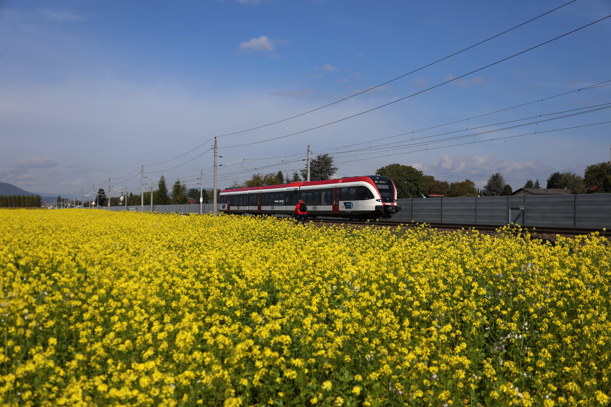 Reger Verkehr herrscht nicht nur auf der Südbahn sondern auch am Radweg neben dem Bahndamm. 
Selbst Werktags vergeht kaum eine Minute in der man nicht einen Radfahrer oder Spaziergänger im Bild hat. 
4.10.2017 bei der Haltestelle Graz Flughafen. 