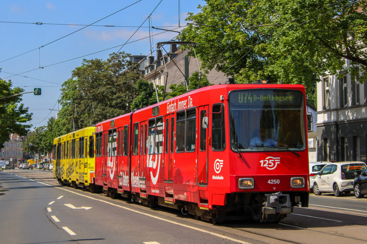 Rheinbahn 4250 (125 Jahre Rheinbahn) mit 4246 (DIE GROßE 20/21) auf der Linie U77 nach Holthausen, 17. Juli 2021, Elbruchstraße
