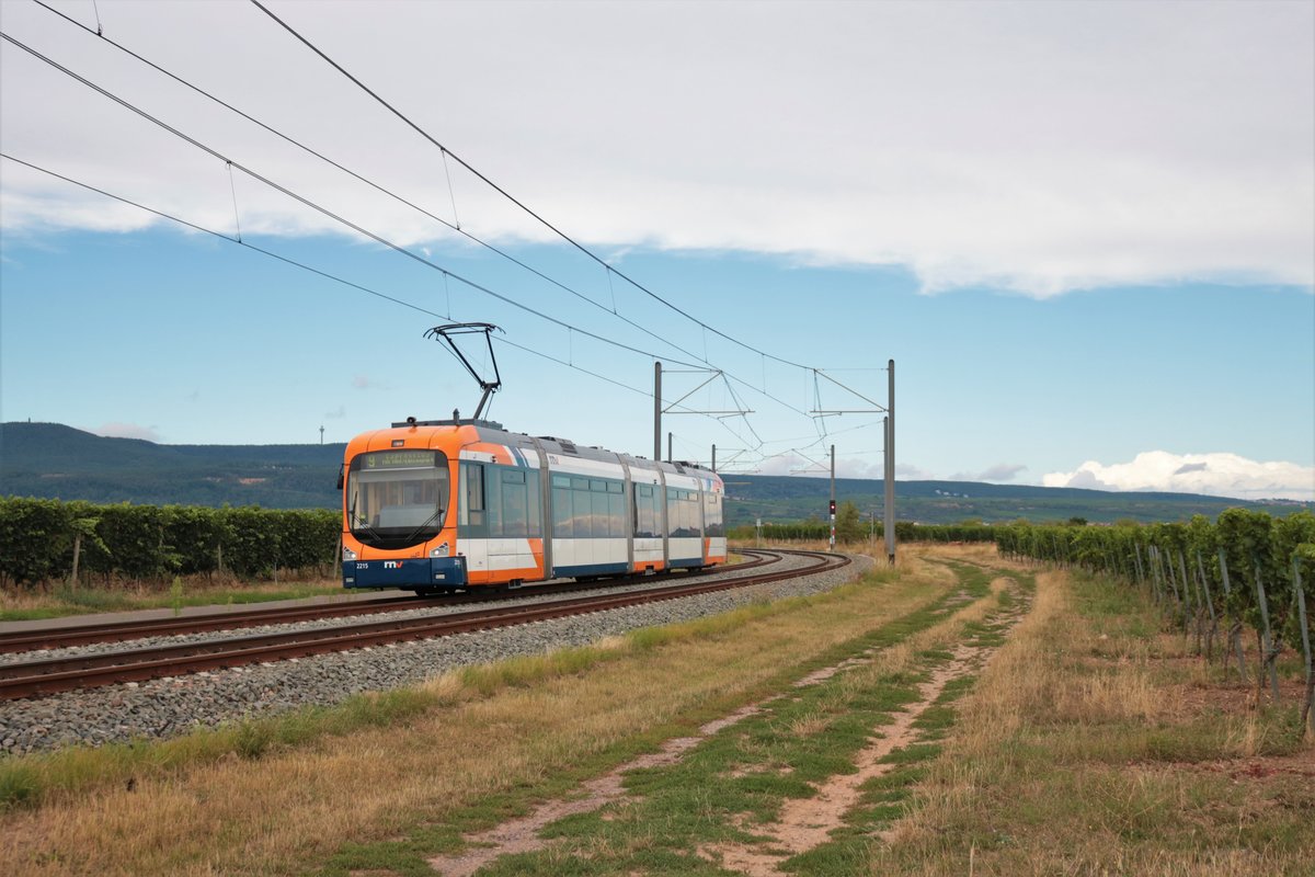 RNV Bombardier Variobahn Wagen 2215 am 29.08.20 bei Bad Dürkheim in dem Weinfeldern