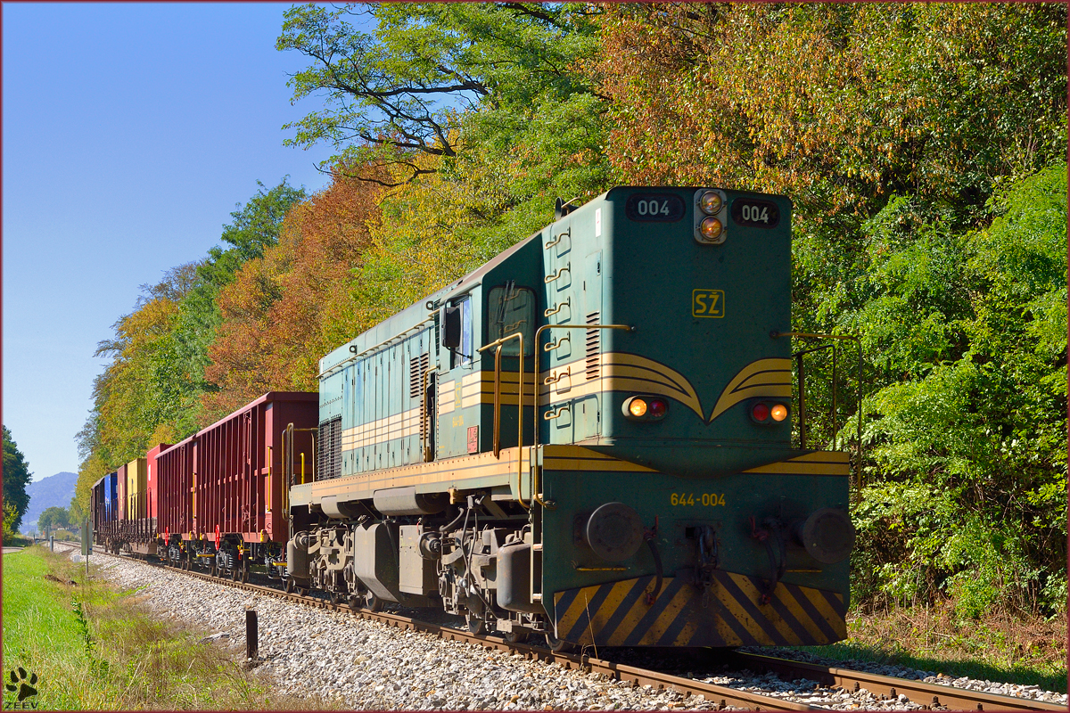 S 644-004 zieht Gterzug durch Maribor-Studenci Richtung Tezno Verschiebebahnhof. /24.9.2013