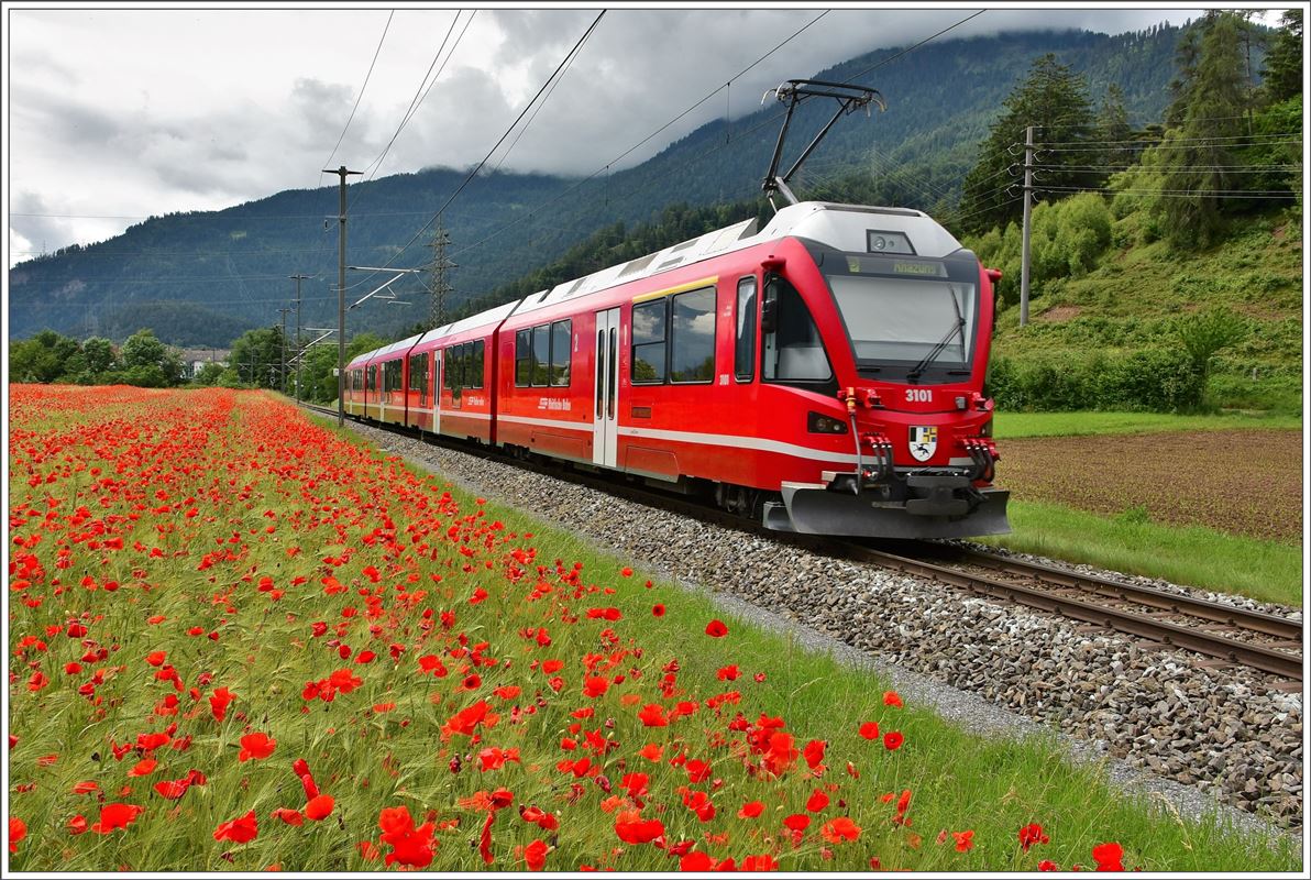 S1 1515 mit ABe 4/16 3101 bei Bonaduz. (14.06.2016)