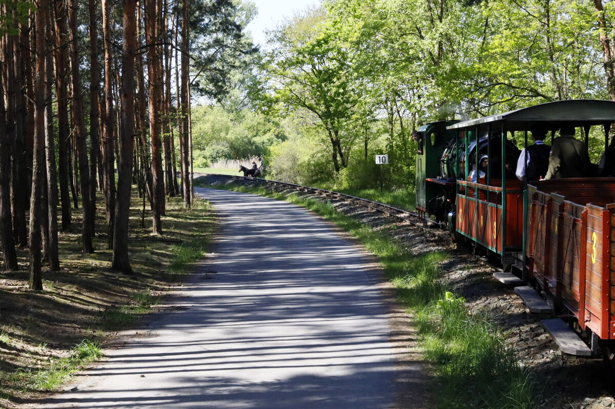 Schattenspiele durch die Frühlingssone auf der Rückfahrt nach 
Sendražice (deutsch Sendraschitz) einem  Ortsteil der Stadt Kolín. 
27.04.2024 10:42 Uhr