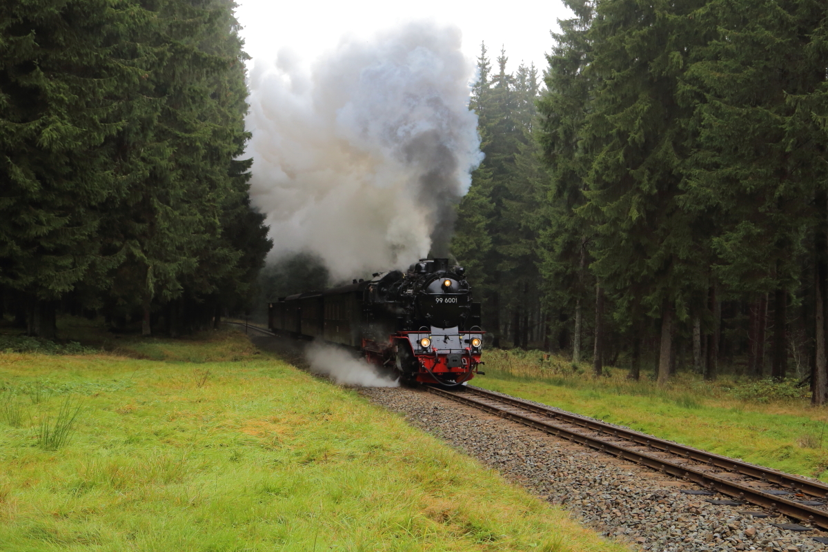 Scheinanfahrt von 99 6001 mit IG HSB-Sonderzug am 18.10.2015 zwischen Elend und Sorge (Km 38,3). (Bild 1)