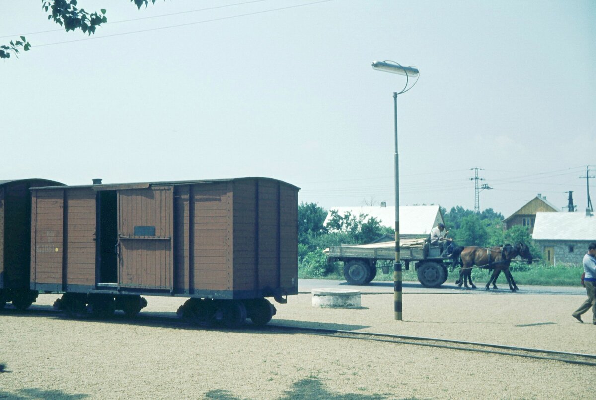 Schmalspurbahn Balatonfenyves mit Pferdewagen_14-07-75